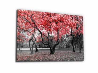 Before Blossom of Red Tree - Red Autumn - Glass Wall Art