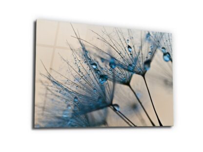 Blue Tears of Dandelion - Glass Wall Art