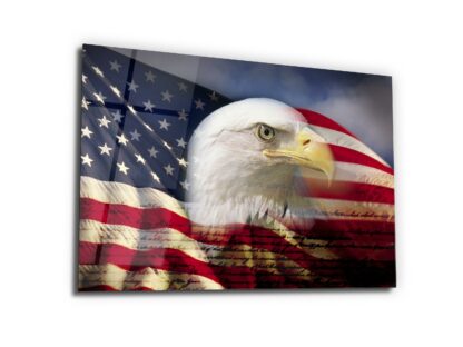 Eagle and Flag - Glass Wall Art