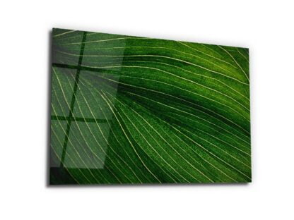 Green the color of Life and Nature - Glass Wall Art