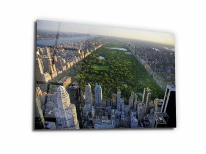 Greenery of Central Park - Glass Wall Art