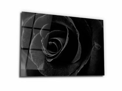 Mysterious Dark Rose - Glass Wall Art