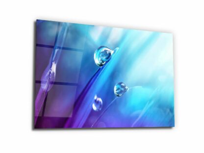 Nature's Jewels Dew Drops - Glass Wall Art