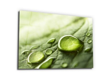 Rainy Day Nature - Water Droplet - Glass Wall Art