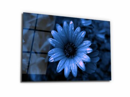 Sprits on Blue Daisy - Glass Wall Art