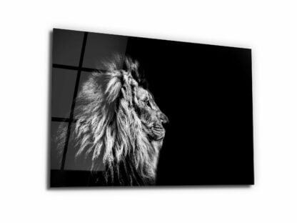 The Lion in the darkness - Glass Wall Art