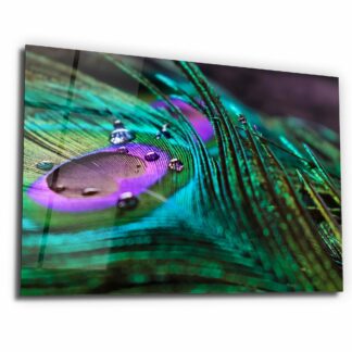 The Magic on Peacock Feather - Glass Wall Art