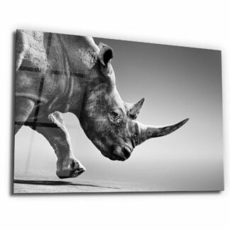 The Rhino - Glass Wall Art