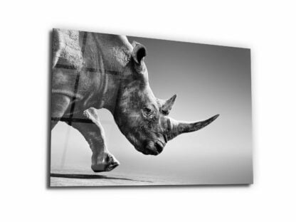 The Rhino - Glass Wall Art