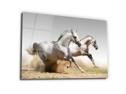 Twin White Stallions - Glass Wall Art