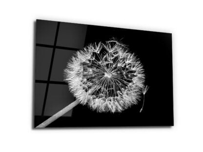 White Dandelion - Glass Wall Art